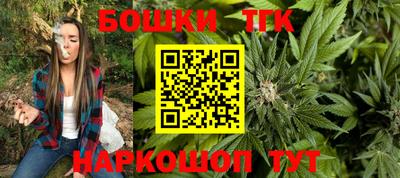 соль ск Моздок