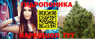 соль ск Моздок