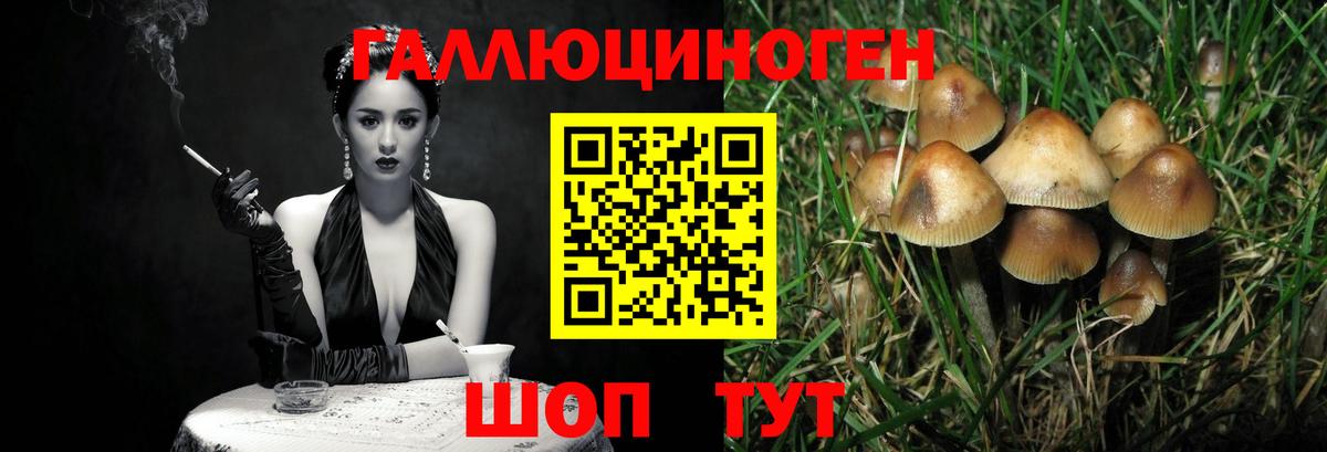 Галлюциногенные грибы прущие грибы  Вход с VPN  Тихорецк  Псилоцибиновые грибы мицелий 